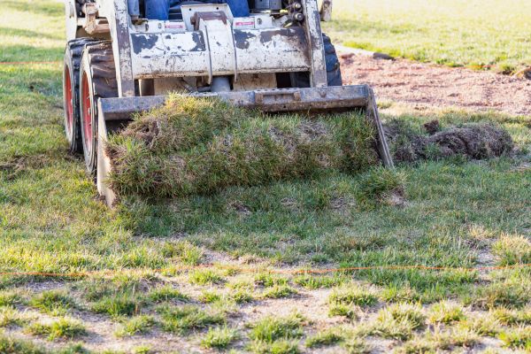 Cost of Landscape Leveling in Bainbridge Island