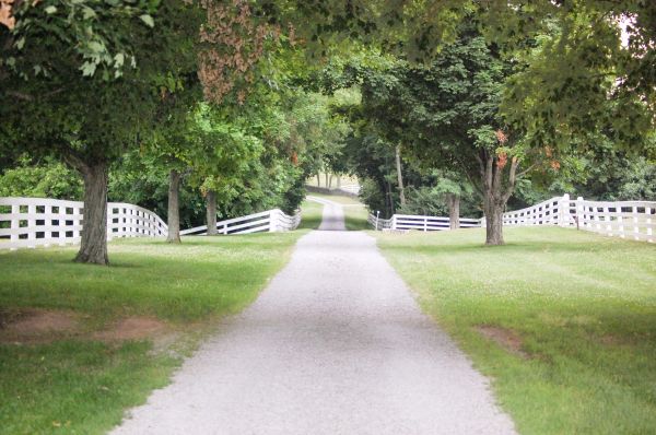 Cost of Gravel Road Installation in Bainbridge Island