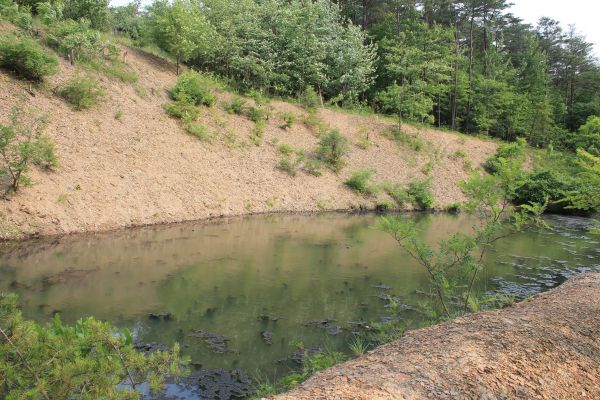 Cost of Pond Erosion Repair in Bainbridge Island