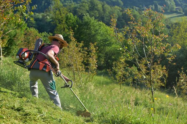 Cost of Slope Trimming in Bainbridge Island